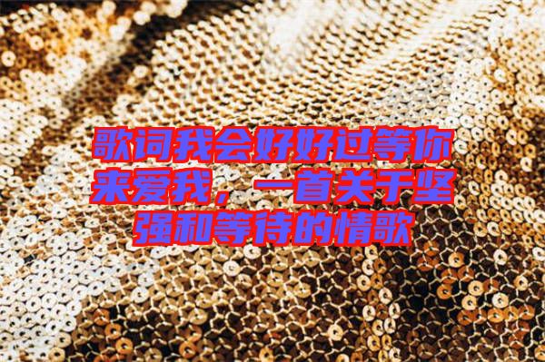 歌詞我會好好過等你來愛我，一首關(guān)于堅(jiān)強(qiáng)和等待的情歌