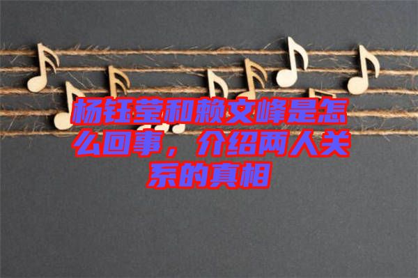 楊鈺瑩和賴文峰是怎么回事，介紹兩人關(guān)系的真相