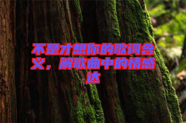 不是才想你的歌詞含義，解歌曲中的情感達