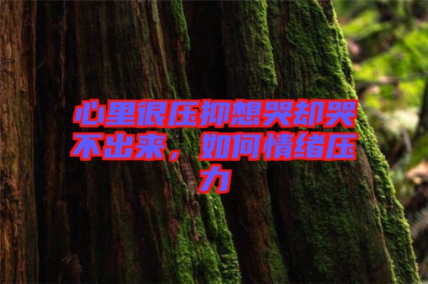 心里很壓抑想哭卻哭不出來，如何情緒壓力