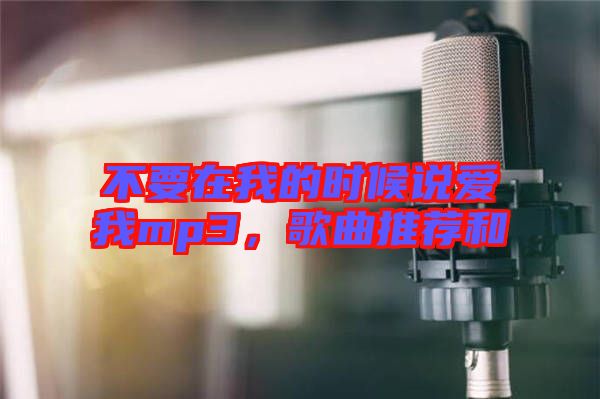 不要在我的時(shí)候說愛我mp3，歌曲推薦和