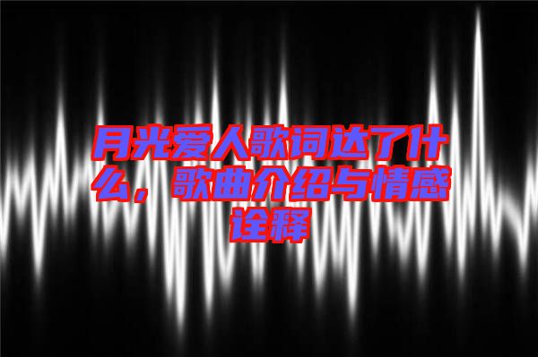 月光愛人歌詞達(dá)了什么，歌曲介紹與情感詮釋