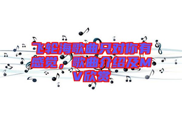 飛輪海歌曲只對(duì)你有感覺，歌曲介紹及MV欣賞