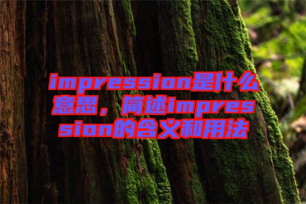 impression是什么意思，簡(jiǎn)述impression的含義和用法