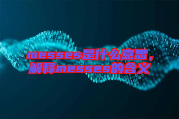 messes是什么意思，解釋messes的含義