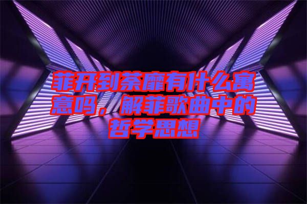 菲開到荼靡有什么寓意嗎，解菲歌曲中的哲學(xué)思想