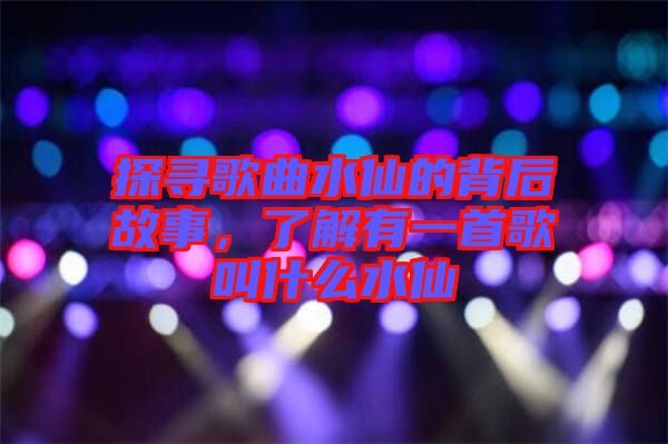 探尋歌曲水仙的背后故事，了解有一首歌叫什么水仙