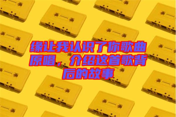 緣讓我認(rèn)識(shí)了你歌曲原唱，介紹這首歌背后的故事