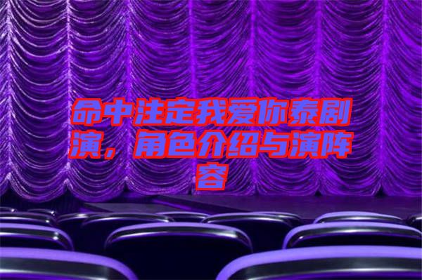 命中注定我愛你泰劇演，角色介紹與演陣容