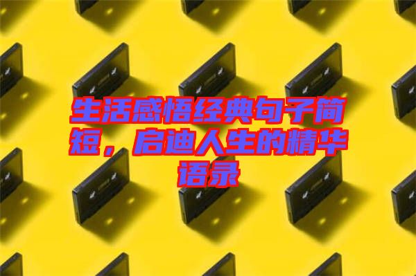 生活感悟經典句子簡短，啟迪人生的精華語錄