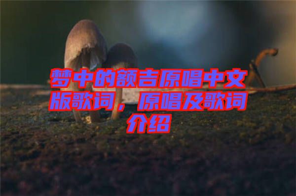 夢中的額吉原唱中文版歌詞，原唱及歌詞介紹