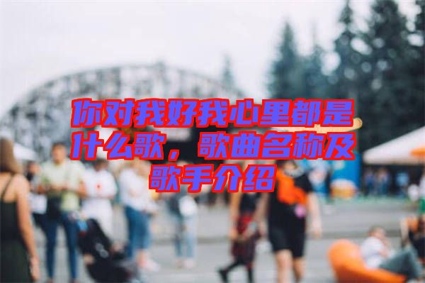 你對我好我心里都是什么歌，歌曲名稱及歌手介紹