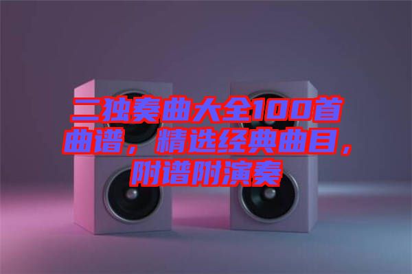 二獨奏曲大全100首曲譜，精選經(jīng)典曲目，附譜附演奏