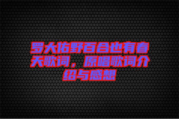 羅大佑野百合也有春天歌詞，原唱歌詞介紹與感想