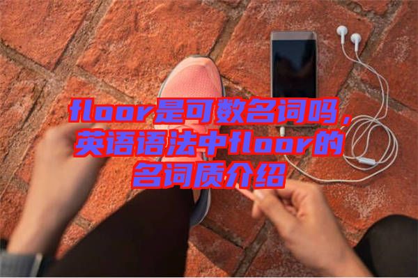 floor是可數(shù)名詞嗎，英語語法中floor的名詞質介紹