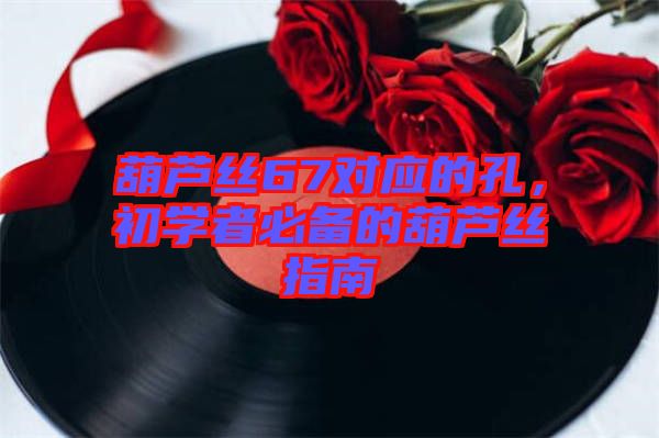葫蘆絲67對應(yīng)的孔，初學者必備的葫蘆絲指南