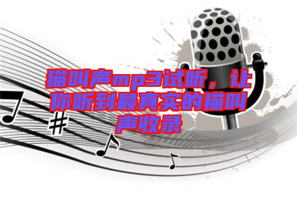 貓叫聲mp3試聽(tīng)，讓你聽(tīng)到最真實(shí)的貓叫聲收錄