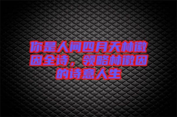 你是人間四月天林徽因全詩(shī)，領(lǐng)略林徽因的詩(shī)意人生