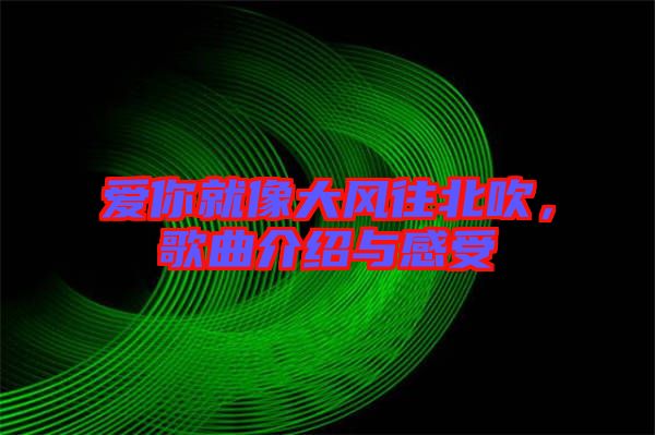 愛你就像大風(fēng)往北吹，歌曲介紹與感受