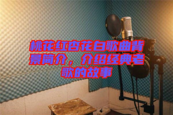 桃花紅杏花白歌曲背景簡(jiǎn)介，介紹經(jīng)典老歌的故事