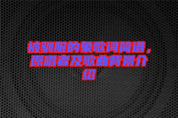 被馴服的象歌詞簡(jiǎn)譜，原唱者及歌曲背景介紹