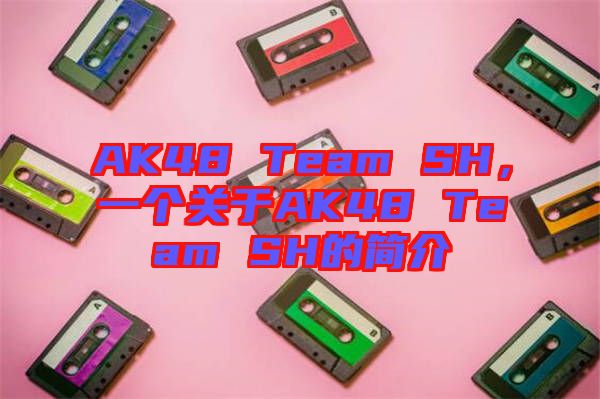 AK48 Team SH，一個(gè)關(guān)于AK48 Team SH的簡介