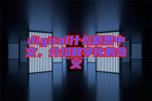 digital什么意思中文，介紹數(shù)字化的含義