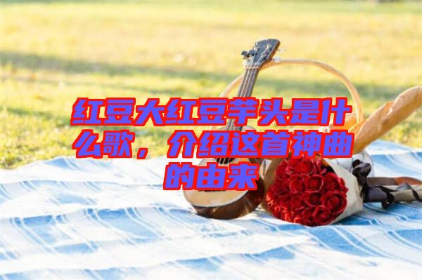 紅豆大紅豆芋頭是什么歌，介紹這首神曲的由來