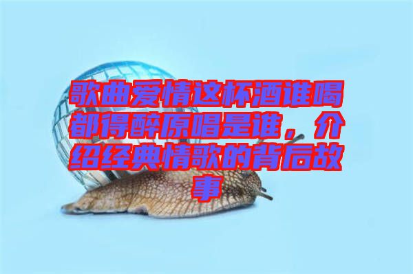 歌曲愛情這杯酒誰喝都得醉原唱是誰，介紹經(jīng)典情歌的背后故事