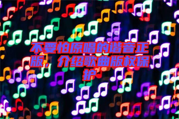 不要怕原唱的諧音正版，介紹歌曲版權(quán)保護(hù)