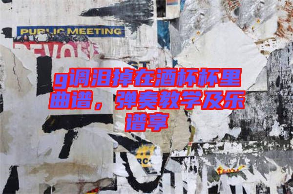 g調(diào)淚掉在酒杯杯里曲譜，彈奏教學(xué)及樂譜享