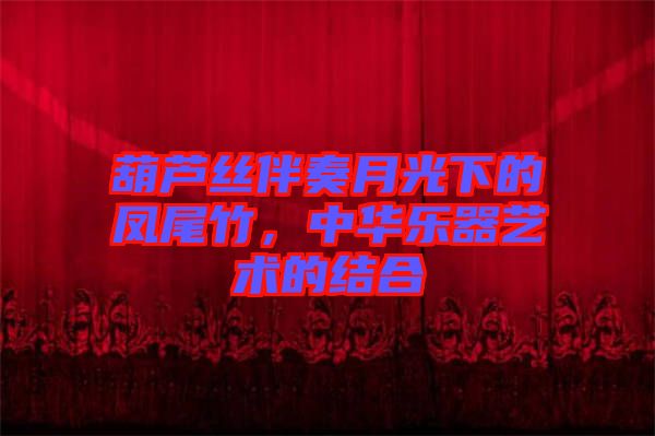 葫蘆絲伴奏月光下的鳳尾竹，中華樂器藝術(shù)的結(jié)合