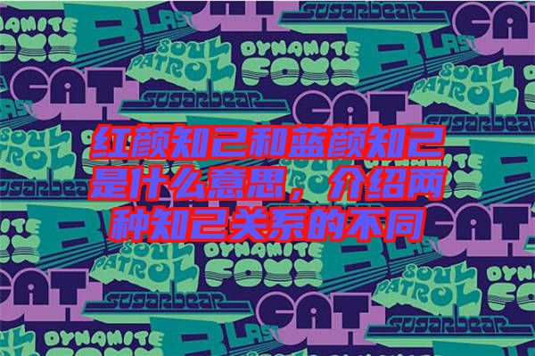 紅顏知己和藍(lán)顏知己是什么意思，介紹兩種知己關(guān)系的不同
