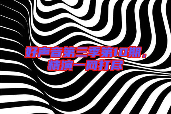 好聲音第三季第10期，精演一網(wǎng)打盡