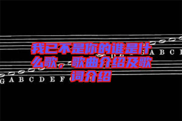 我已不是你的誰是什么歌，歌曲介紹及歌詞介紹
