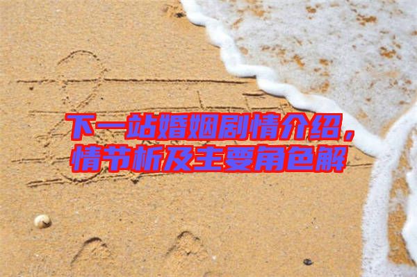 下一站婚姻劇情介紹，情節(jié)析及主要角色解