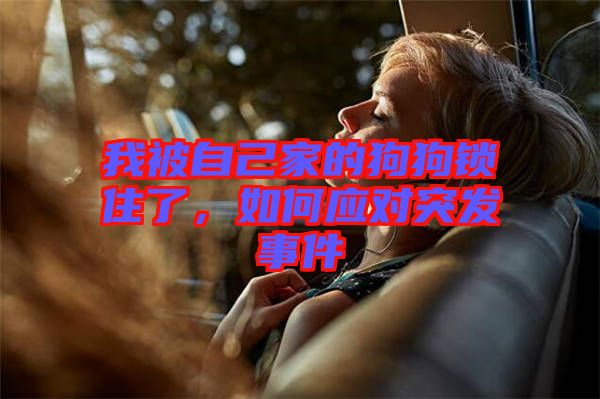 我被自己家的狗狗鎖住了，如何應(yīng)對(duì)突發(fā)事件