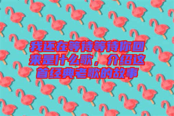我還在等待等待你回來是什么歌，介紹這首經(jīng)典老歌的故事