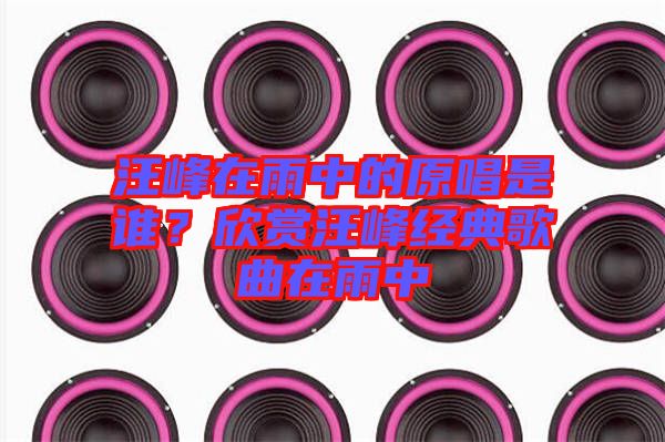 汪峰在雨中的原唱是誰(shuí)？欣賞汪峰經(jīng)典歌曲在雨中