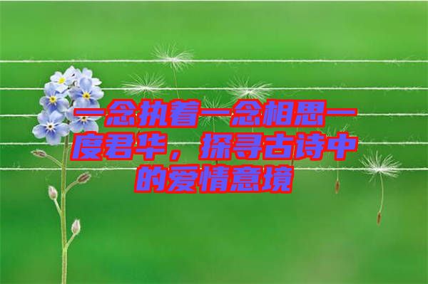 一念執(zhí)著一念相思一度君華，探尋古詩(shī)中的愛(ài)情意境