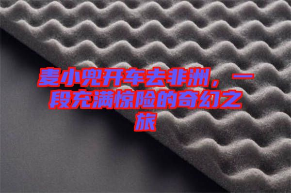 麥小兜開車去非洲，一段充滿驚險的奇幻之旅