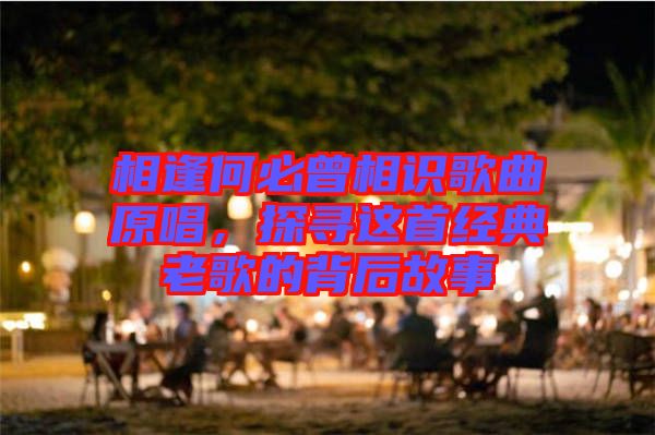 相逢何必曾相識歌曲原唱，探尋這首經(jīng)典老歌的背后故事