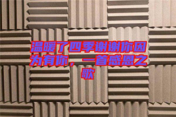 溫暖了四季謝謝你因?yàn)橛心?，一首感恩之? width=