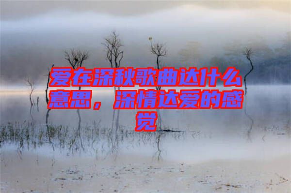 愛(ài)在深秋歌曲達(dá)什么意思，深情達(dá)愛(ài)的感覺(jué)