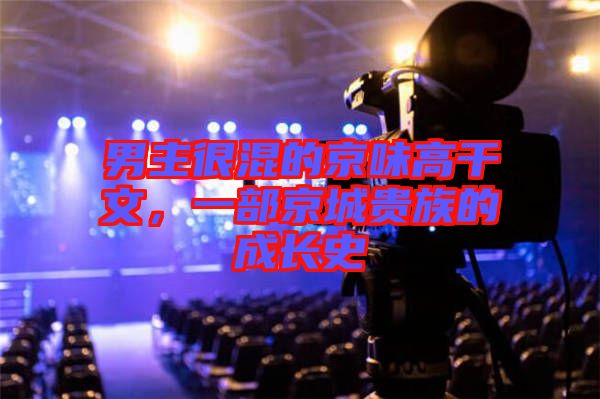 男主很混的京味高干文，一部京城貴族的成長(zhǎng)史