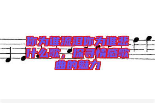 你為誰流淚你為誰悲什么歌，探尋情感歌曲的魅力