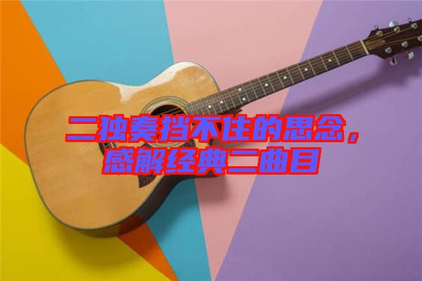 二獨奏擋不住的思念，感解經(jīng)典二曲目