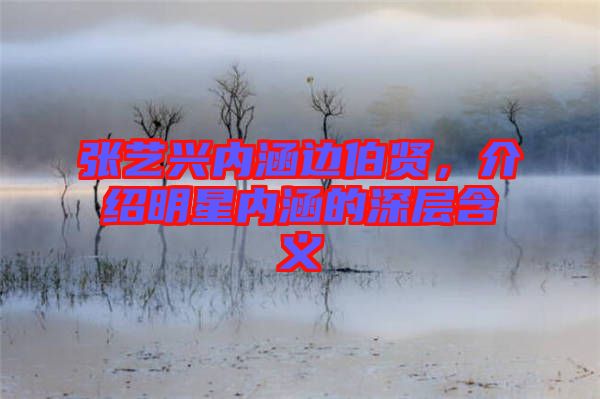 張藝興內(nèi)涵邊伯賢，介紹明星內(nèi)涵的深層含義
