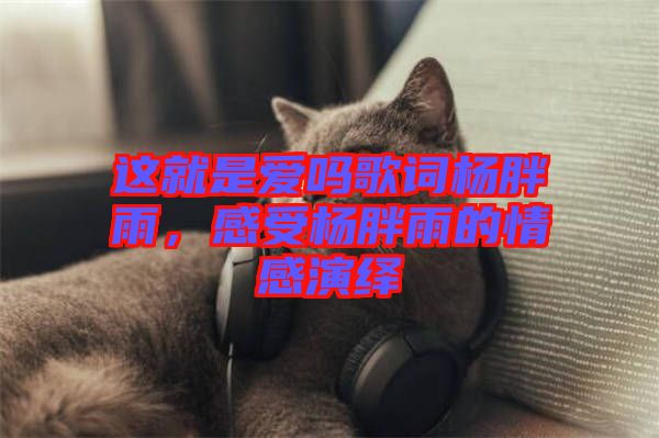 這就是愛嗎歌詞楊胖雨，感受楊胖雨的情感演繹