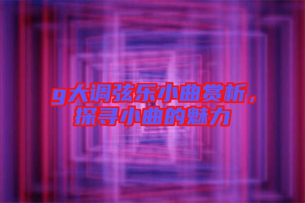 g大調(diào)弦樂小曲賞析，探尋小曲的魅力